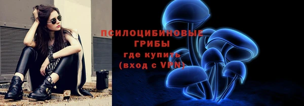 марки nbome Белокуриха