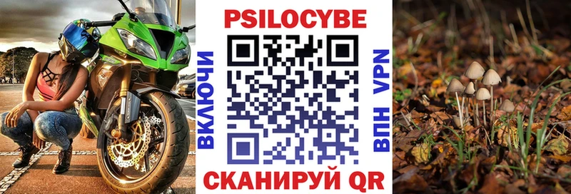 Псилоцибиновые грибы Magic Shrooms  Горнозаводск 